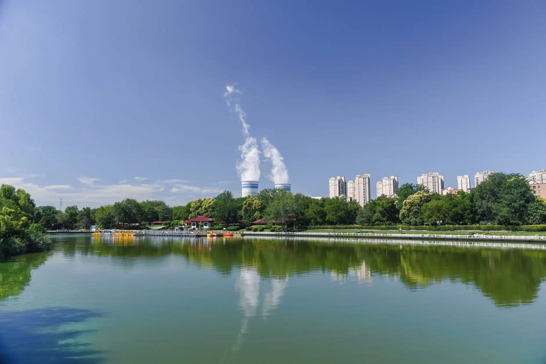 2024年合肥职业资格考证热门专业及报考条件梳理正文配图 1