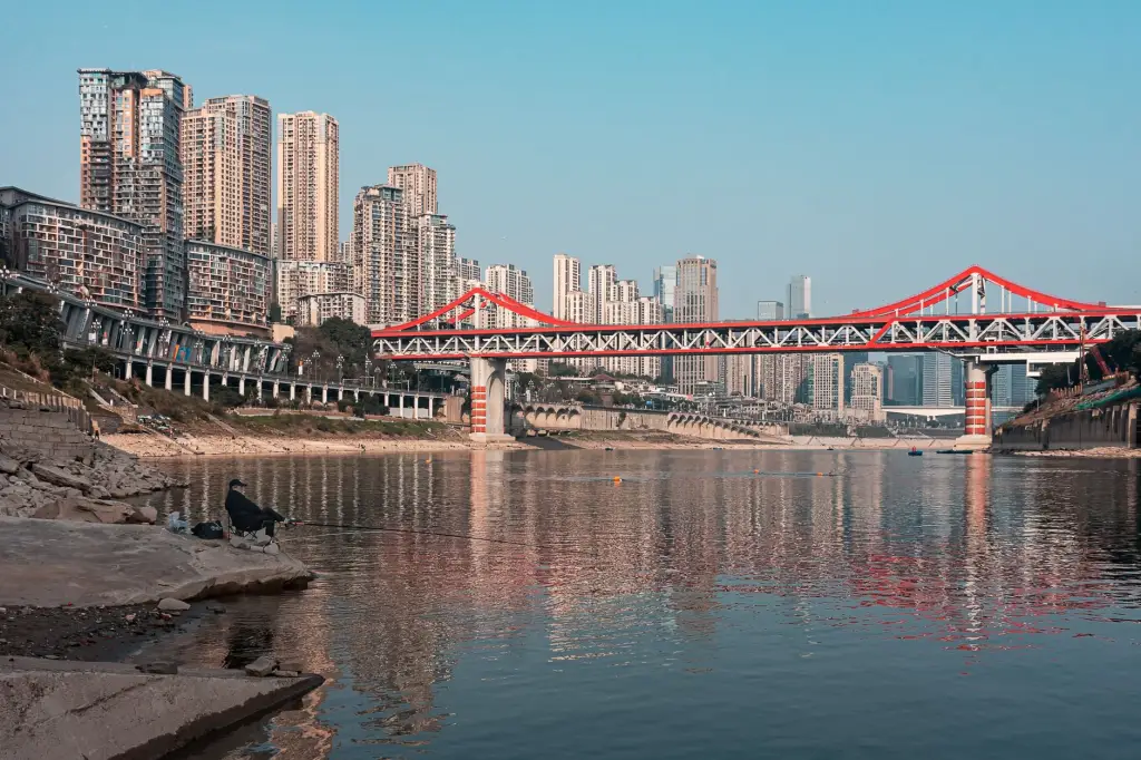 合肥职业技能培训课程体系详解：从入门到考证的进阶路径封面图