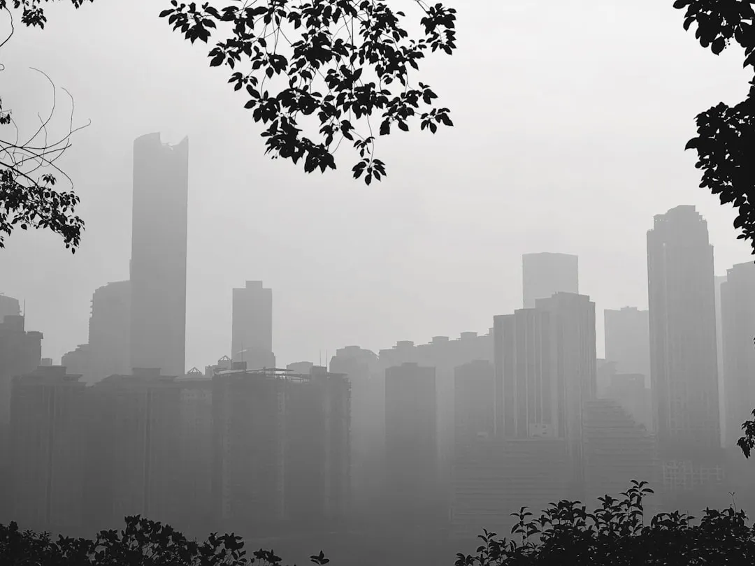 2025年合肥职业技能考证课程费用与价值分析