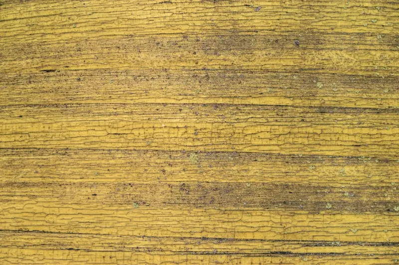 工业机器人运维技术发展趋势及合肥本地培训课程规划